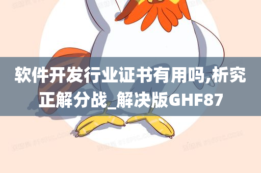 软件开发行业证书有用吗,析究正解分战_解决版GHF87