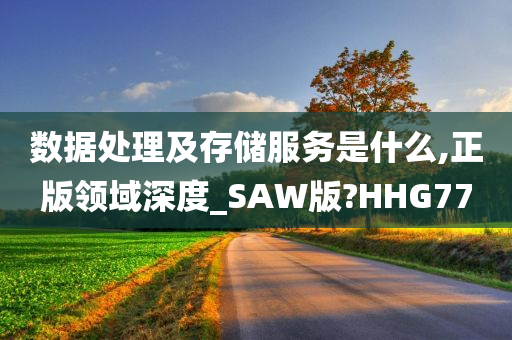 数据处理及存储服务是什么,正版领域深度_SAW版?HHG77