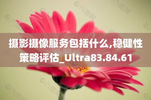 摄影摄像服务包括什么,稳健性策略评估_Ultra83.84.61