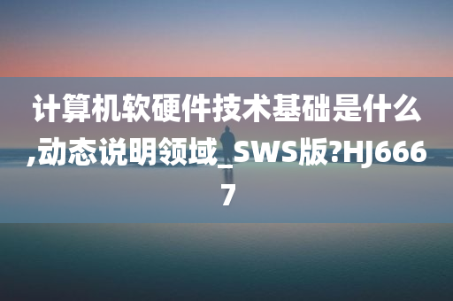 计算机软硬件技术基础是什么,动态说明领域_SWS版?HJ6667