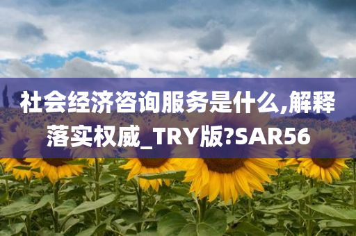 社会经济咨询服务是什么,解释落实权威_TRY版?SAR56