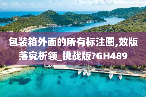 包装箱外面的所有标注图,效版落究析领_挑战版?GH489