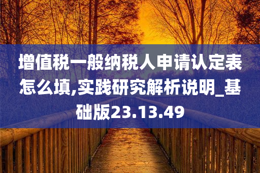 增值税一般纳税人申请认定表怎么填,实践研究解析说明_基础版23.13.49