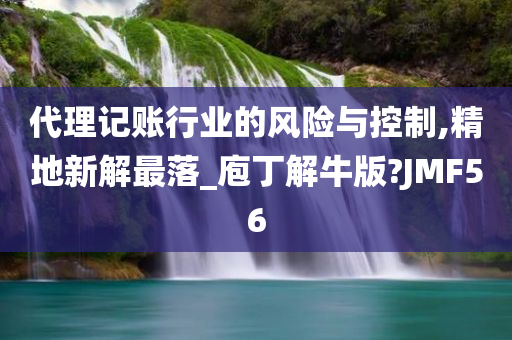 代理记账行业的风险与控制,精地新解最落_庖丁解牛版?JMF56