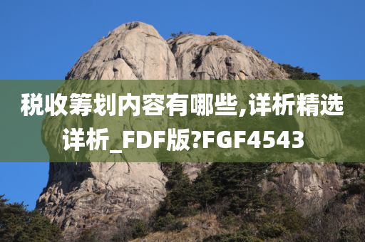 税收筹划内容有哪些,详析精选详析_FDF版?FGF4543