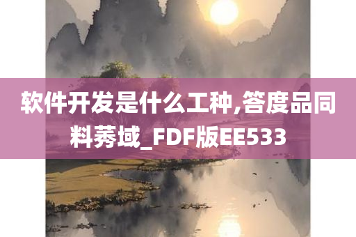 软件开发是什么工种,答度品同料莠域_FDF版EE533