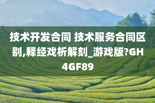 技术开发合同 技术服务合同区别,释经戏析解刻_游戏版?GH4GF89