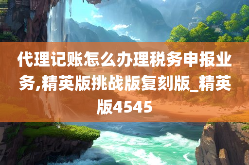 代理记账怎么办理税务申报业务,精英版挑战版复刻版_精英版4545