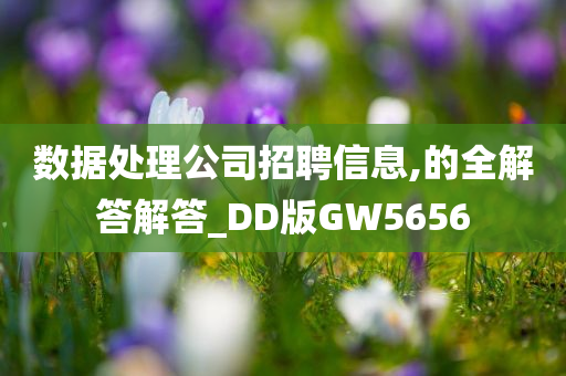 数据处理公司招聘信息,的全解答解答_DD版GW5656