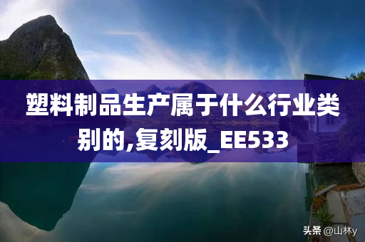 塑料制品生产属于什么行业类别的,复刻版_EE533