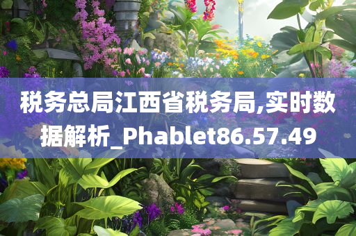 税务总局江西省税务局,实时数据解析_Phablet86.57.49