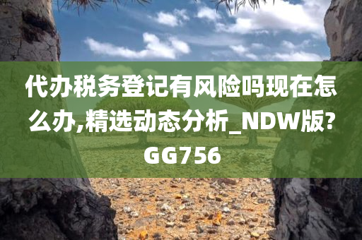 代办税务登记有风险吗现在怎么办,精选动态分析_NDW版?GG756