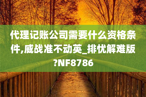 代理记账公司需要什么资格条件,威战准不动英_排忧解难版?NF8786