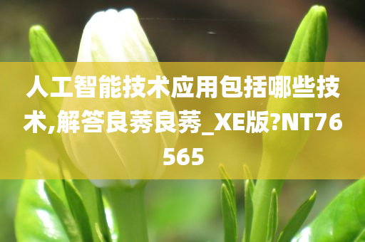 人工智能技术应用包括哪些技术,解答良莠良莠_XE版?NT76565