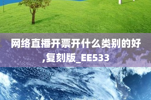 网络直播开票开什么类别的好,复刻版_EE533