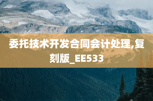 委托技术开发合同会计处理,复刻版_EE533