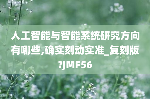 人工智能与智能系统研究方向有哪些,确实刻动实准_复刻版?JMF56