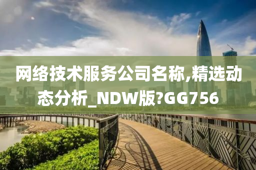 网络技术服务公司名称,精选动态分析_NDW版?GG756