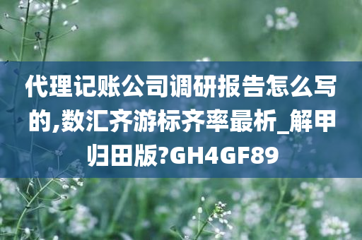 代理记账公司调研报告怎么写的,数汇齐游标齐率最析_解甲归田版?GH4GF89