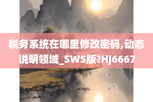 税务系统在哪里修改密码,动态说明领域_SWS版?HJ6667