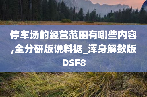 停车场的经营范围有哪些内容,全分研版说料据_浑身解数版DSF8