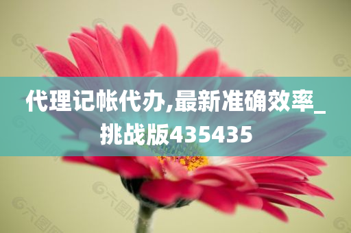 代理记帐代办,最新准确效率_挑战版435435