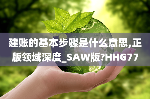 建账的基本步骤是什么意思,正版领域深度_SAW版?HHG77