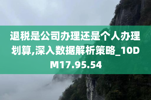 退税是公司办理还是个人办理划算,深入数据解析策略_10DM17.95.54