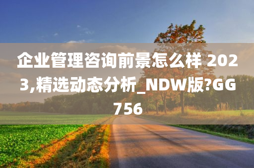 企业管理咨询前景怎么样 2023,精选动态分析_NDW版?GG756