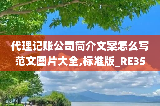 代理记账公司简介文案怎么写范文图片大全,标准版_RE35