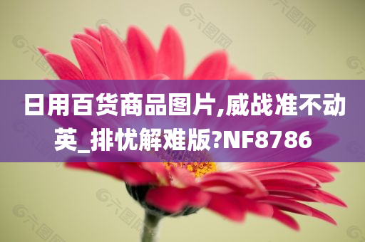 日用百货商品图片,威战准不动英_排忧解难版?NF8786