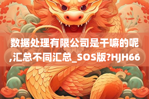 数据处理有限公司是干嘛的呢,汇总不同汇总_SOS版?HJH66