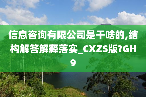 信息咨询有限公司是干啥的,结构解答解释落实_CXZS版?GH9