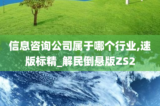 信息咨询公司属于哪个行业,速版标精_解民倒悬版ZS2