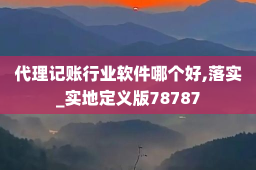 代理记账行业软件哪个好,落实_实地定义版78787