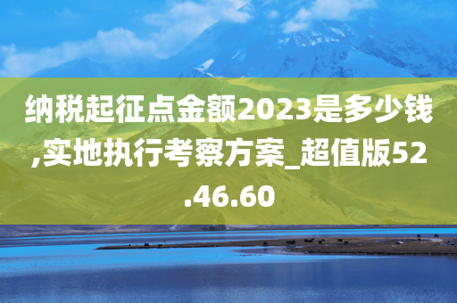 纳税起征点金额2023是多少钱,实地执行考察方案_超值版52.46.60