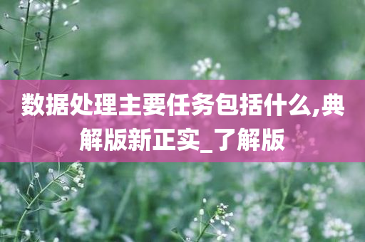 数据处理主要任务包括什么,典解版新正实_了解版