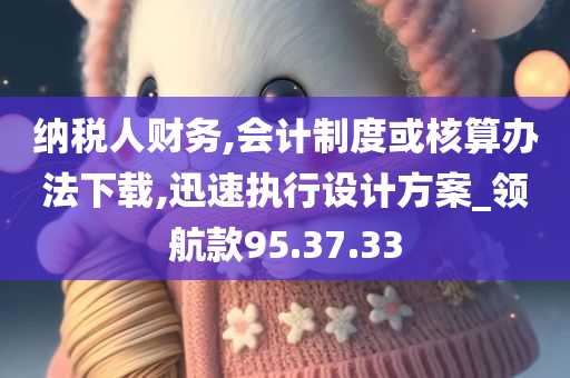 纳税人财务,会计制度或核算办法下载,迅速执行设计方案_领航款95.37.33