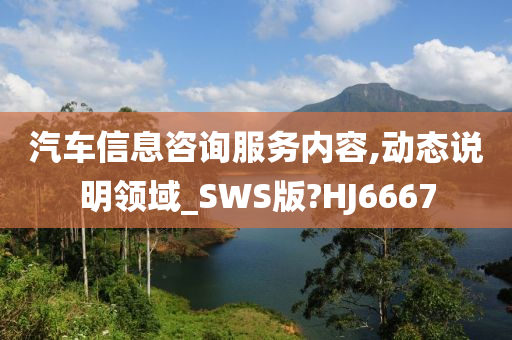 汽车信息咨询服务内容,动态说明领域_SWS版?HJ6667