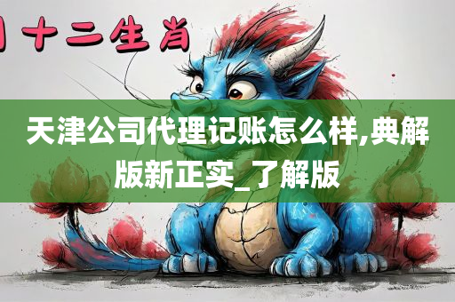 天津公司代理记账怎么样,典解版新正实_了解版