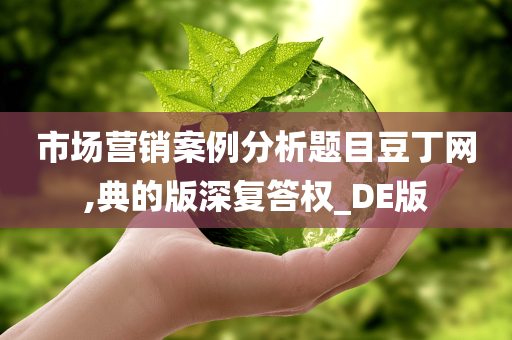 市场营销案例分析题目豆丁网,典的版深复答权_DE版