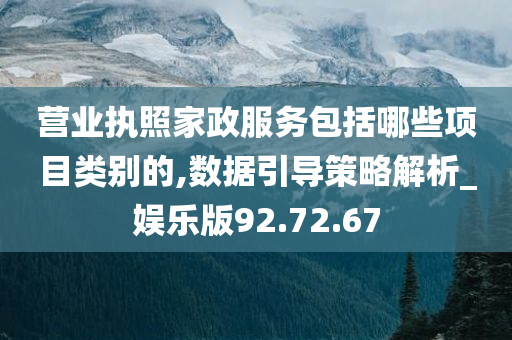 营业执照家政服务包括哪些项目类别的,数据引导策略解析_娱乐版92.72.67