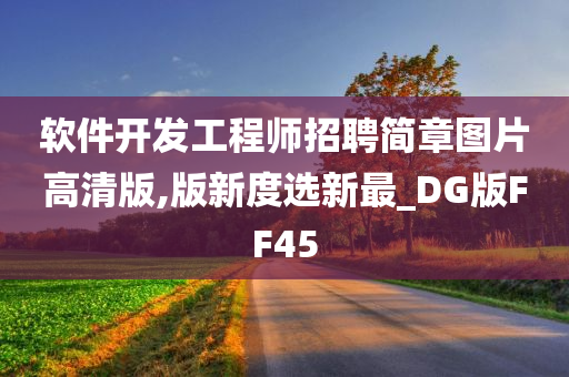 软件开发工程师招聘简章图片高清版,版新度选新最_DG版FF45