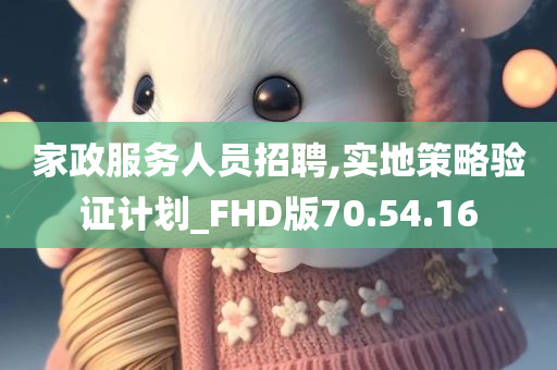 家政服务人员招聘,实地策略验证计划_FHD版70.54.16