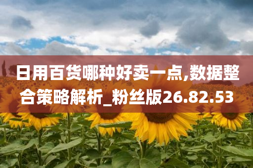 日用百货哪种好卖一点,数据整合策略解析_粉丝版26.82.53