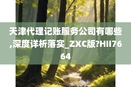 天津代理记账服务公司有哪些,深度详析落实_ZXC版?HII7664