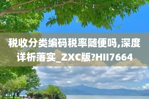 税收分类编码税率随便吗,深度详析落实_ZXC版?HII7664