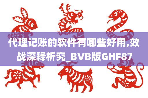 代理记账的软件有哪些好用,效战深释析究_BVB版GHF87