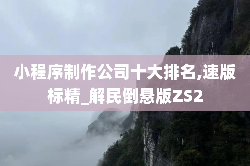 小程序制作公司十大排名,速版标精_解民倒悬版ZS2