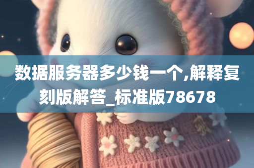 数据服务器多少钱一个,解释复刻版解答_标准版78678